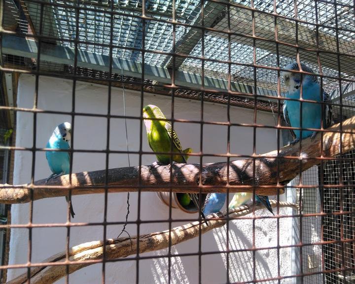 Gasthaus zur Kiesgrube, beim Kleintierzoo in Ravensburg – Bild 2