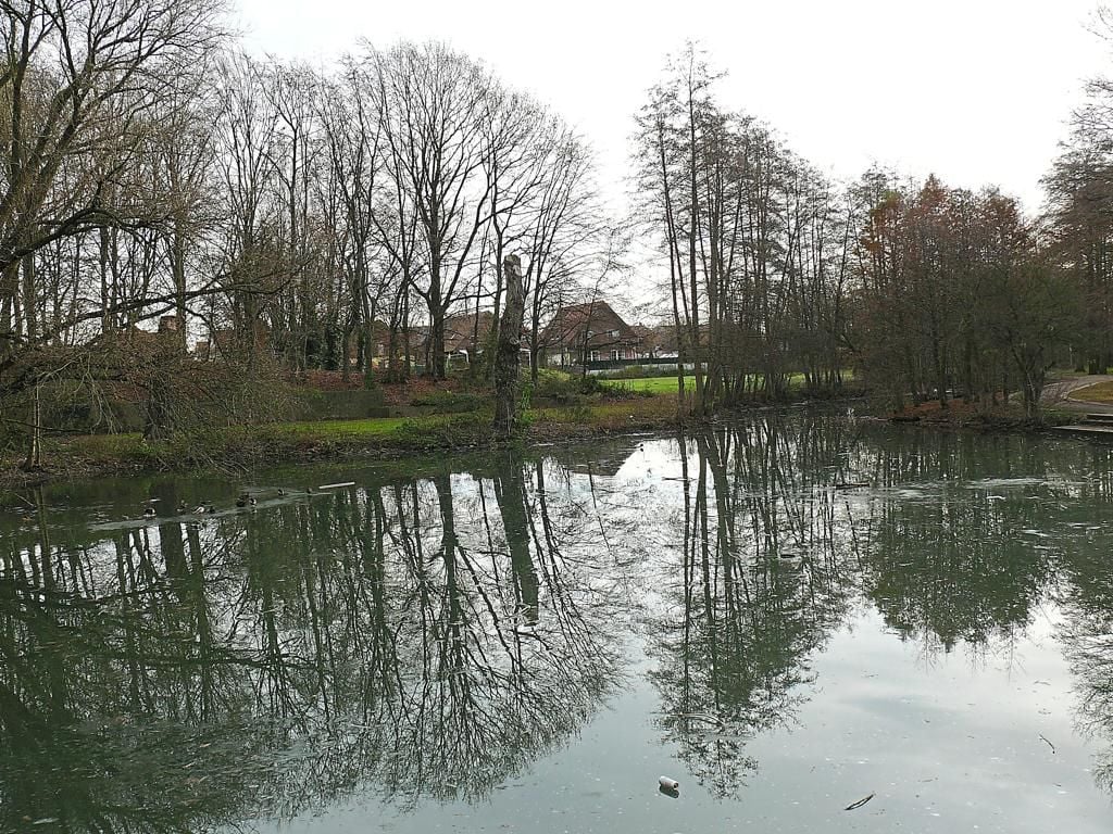 Erlengrund Park – Bild 3