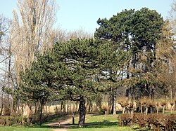 Erlengrund Park – Bild 5