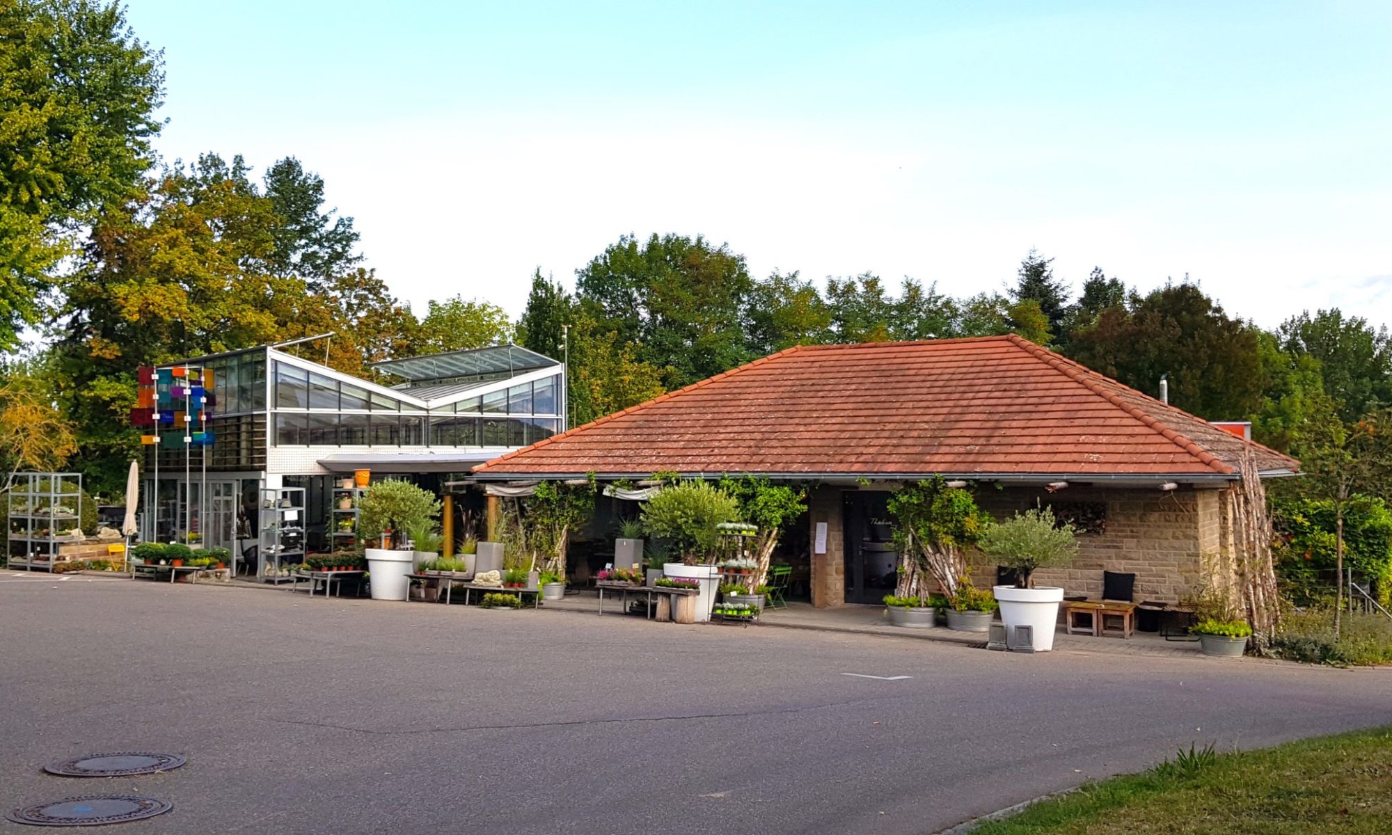 Sofi Café – Bild 2