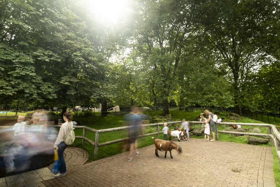 Kleintiergarten im Grugapark – Bild 3