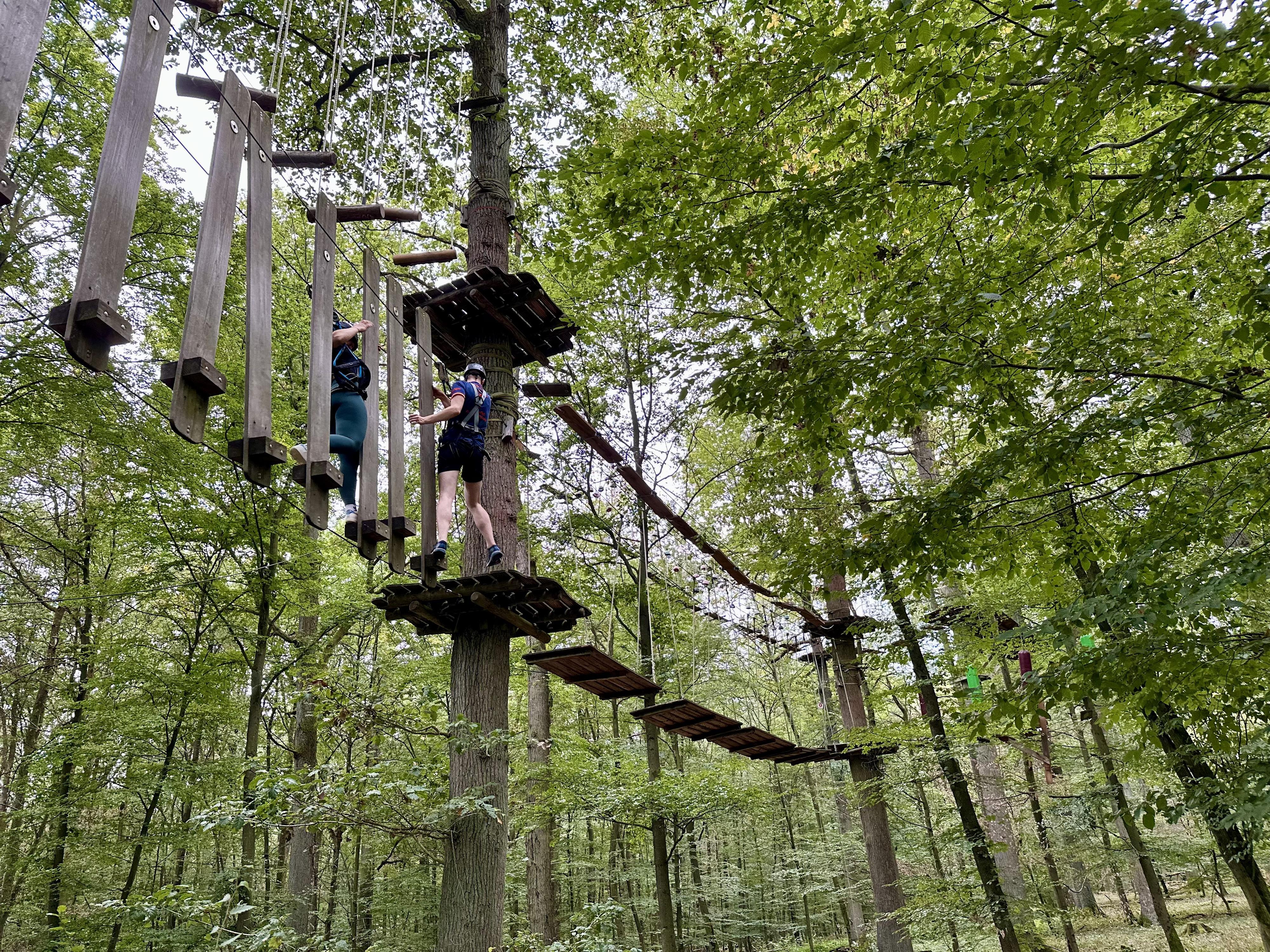 Kletterwald Marburg – Bild 2