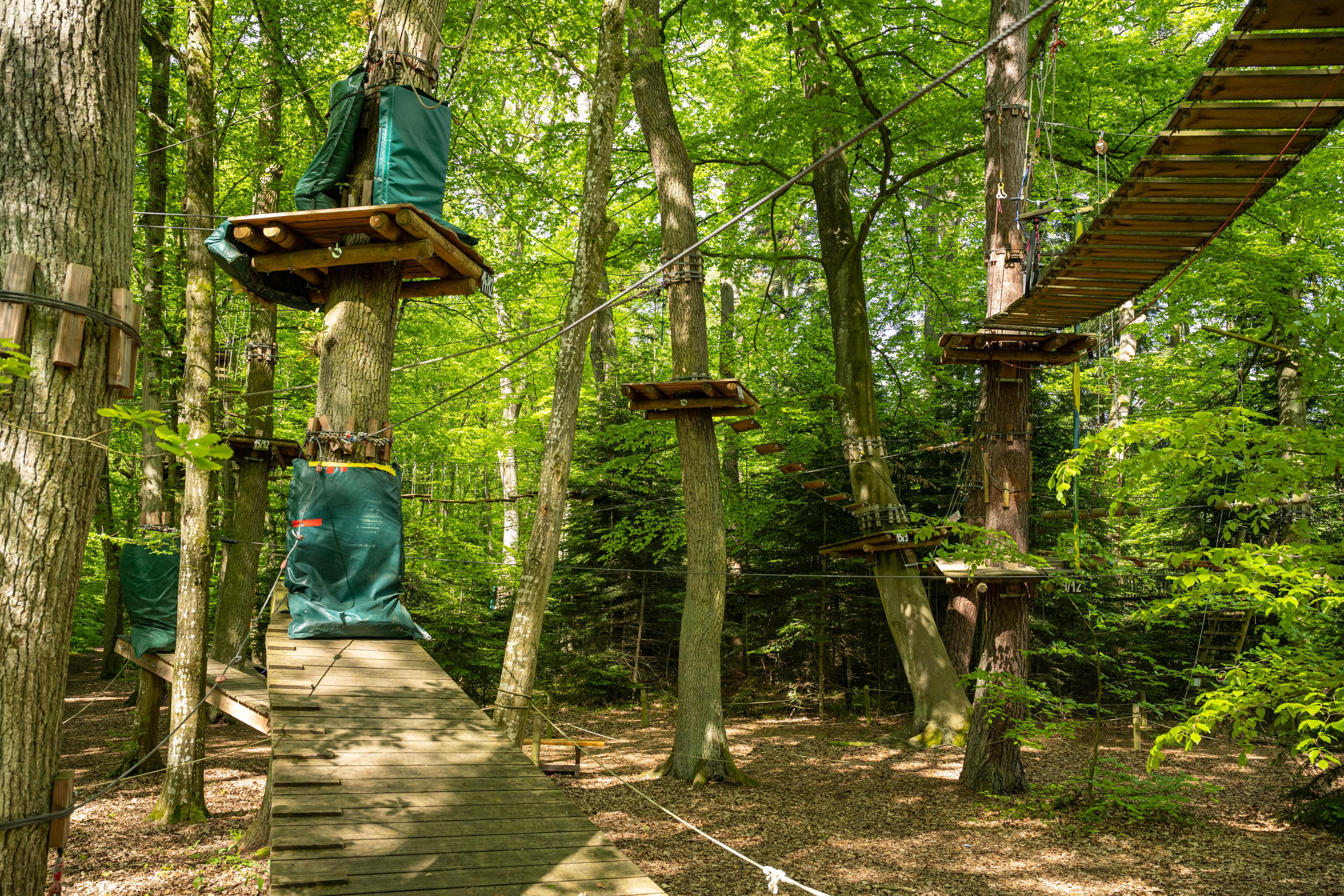 Fun Forest GmbH AbenteuerPark Kandel – Bild 6