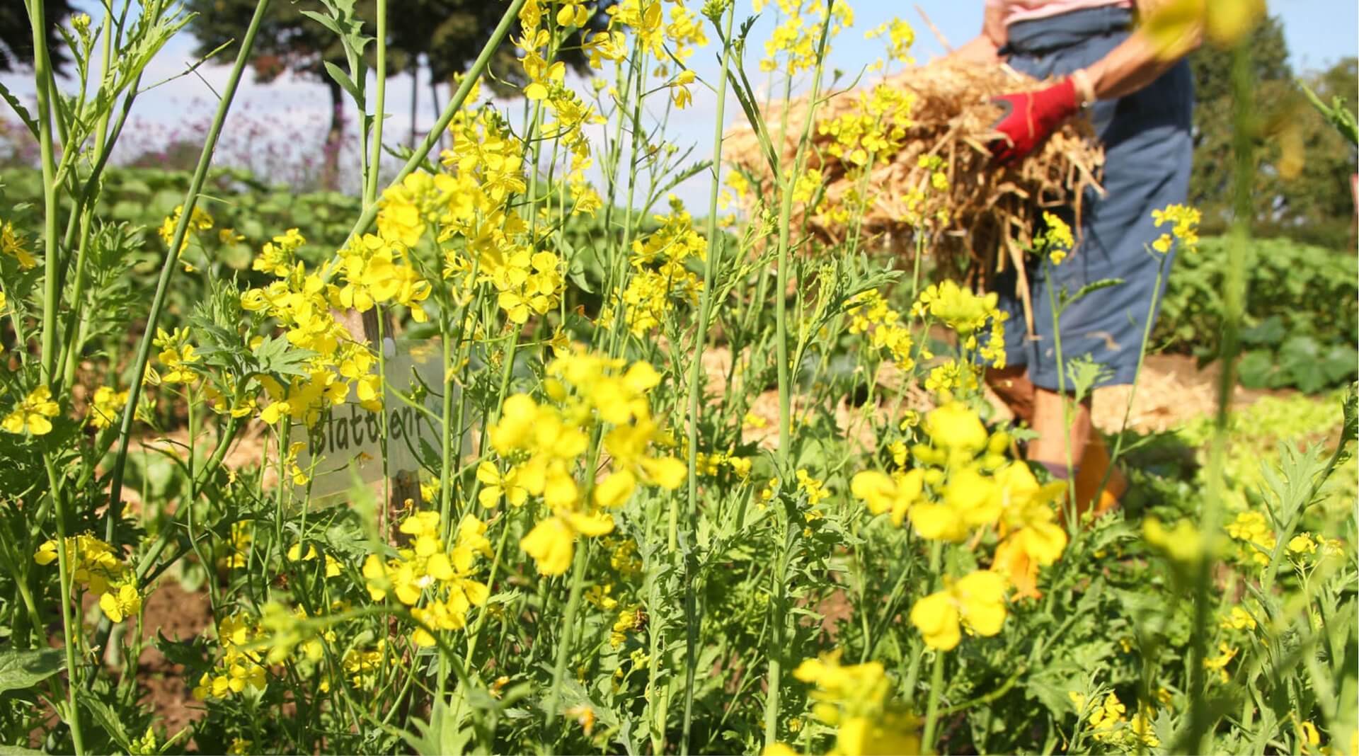 Hof Möller – Bild 2