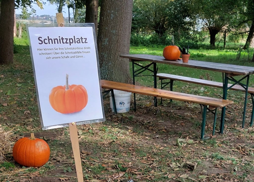 Hof Möller – Bild 4