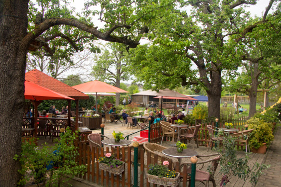 Gemüsehof Steiger – Bild 4