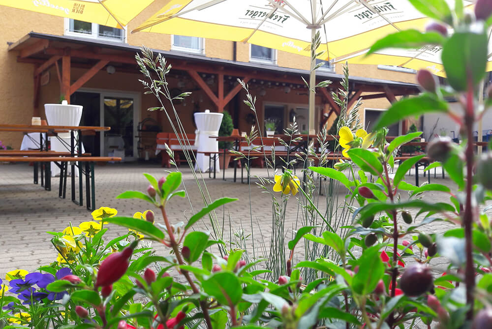 Ferienhof Falkenau – Bild 2