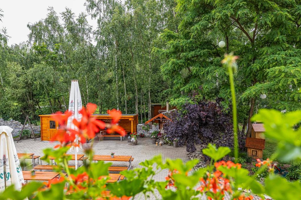 Ferienhof Falkenau – Bild 3