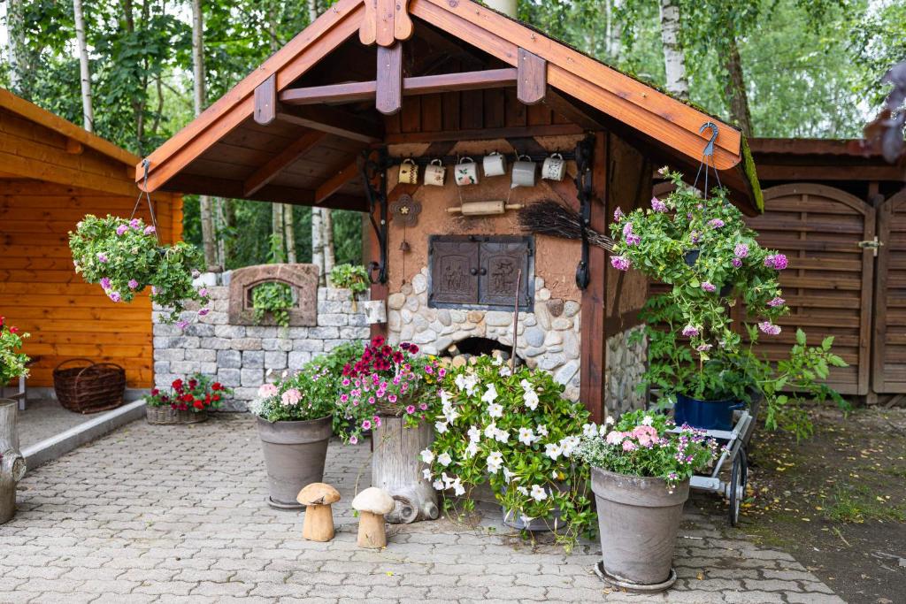 Ferienhof Falkenau – Bild 4