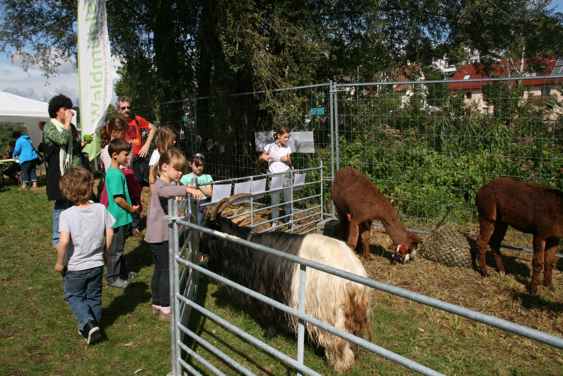 Waldmühle - Erlebnispädagogik und tiergestützte Arbeit – Bild 2