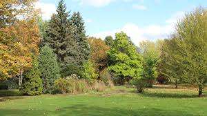 Arboretum Sunnidale Park – Bild 1