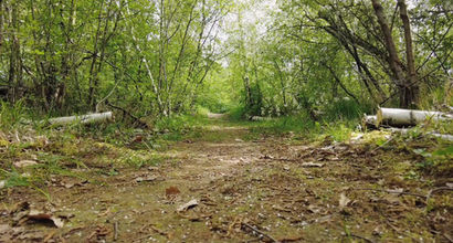 Elle´s Erlebnisparcours – Bild 3