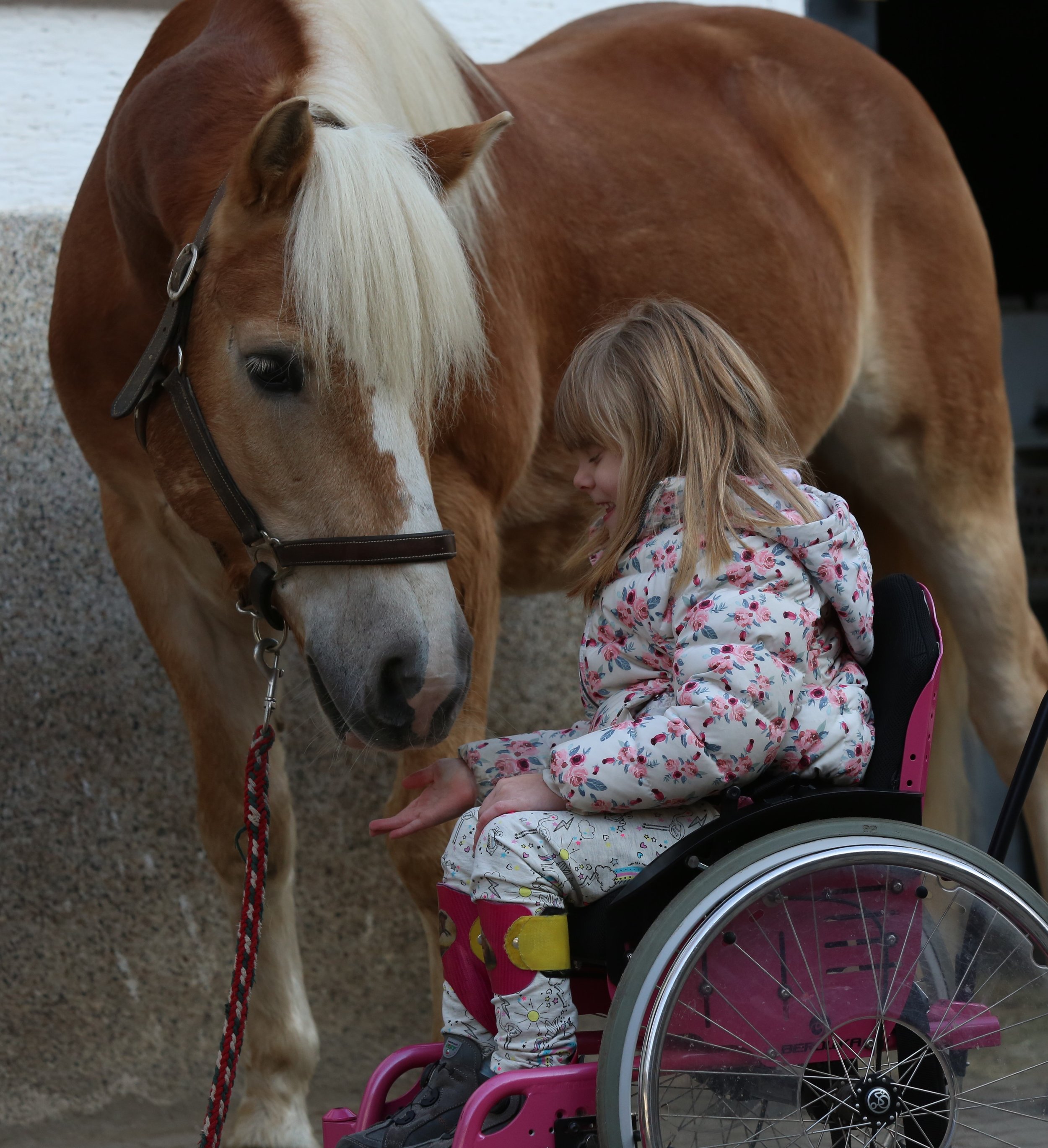 Reiterhof der Kinderhilfe e.V. – Bild 2