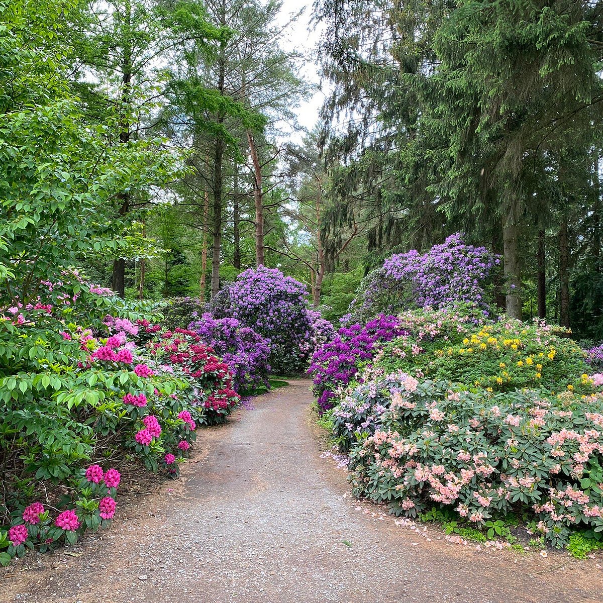 Rhododendronpark – Bild 4