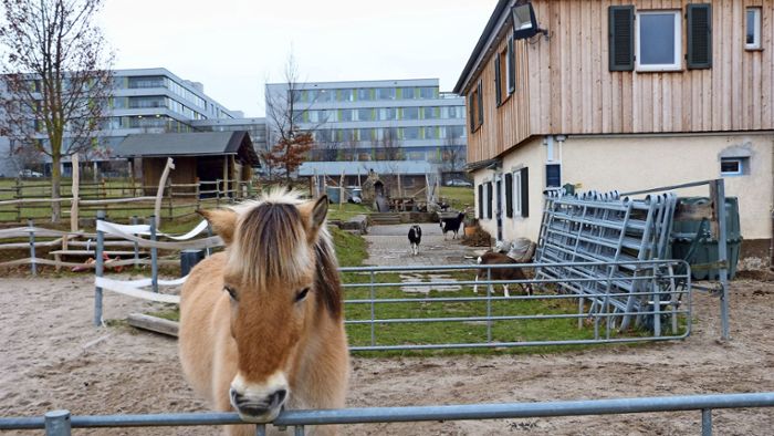 Stadtteilbauernhof Stuttgart-Bad Cannstatt gGmbH – Bild 2