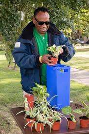 Fairfield Park – Bild 5