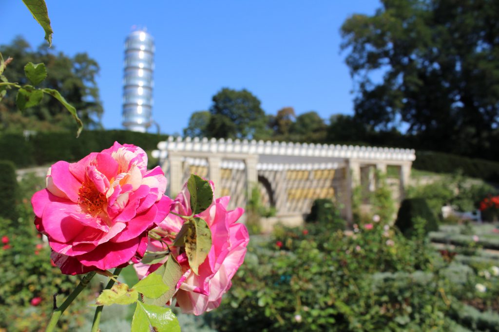 Bürgerpark und Gartendenkmal Marienberg – Bild 6