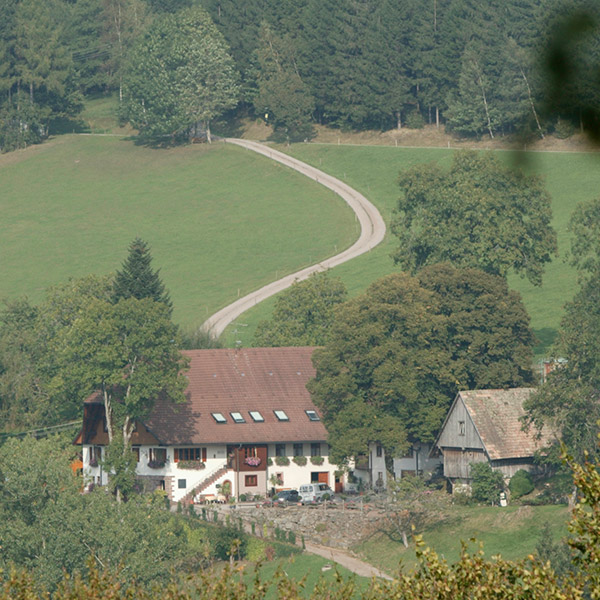 Hanselehof – Bild 4