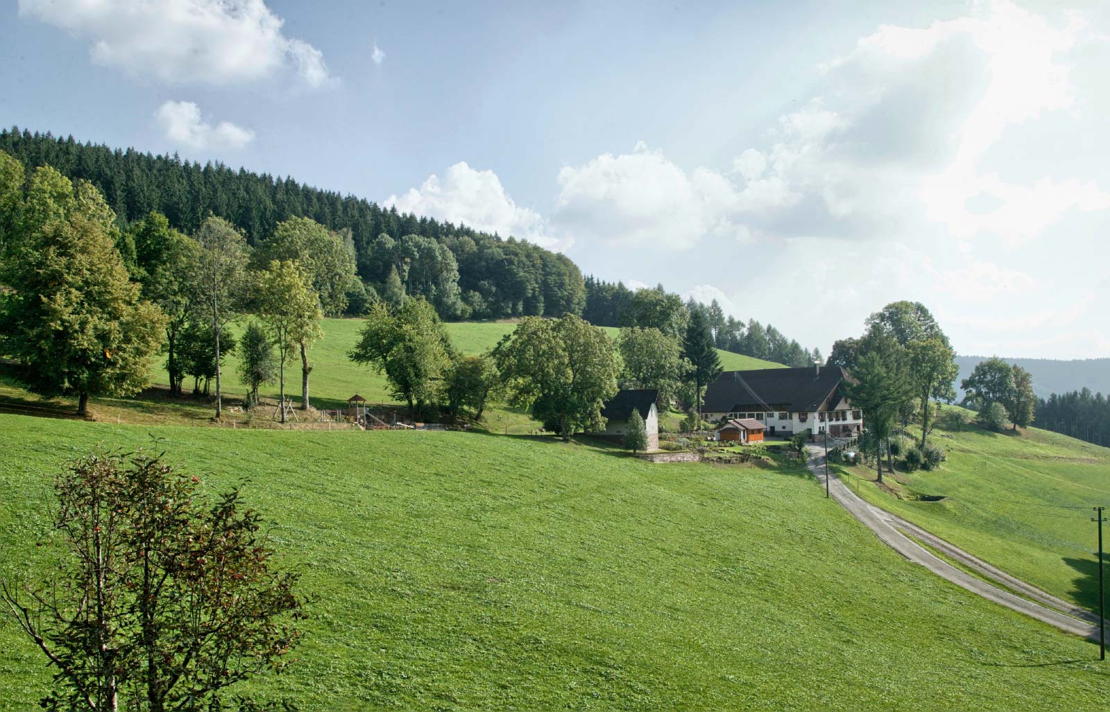 Hanselehof – Bild 5