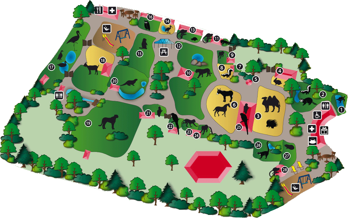 ZOO BRAUNSCHWEIG – Bild 3