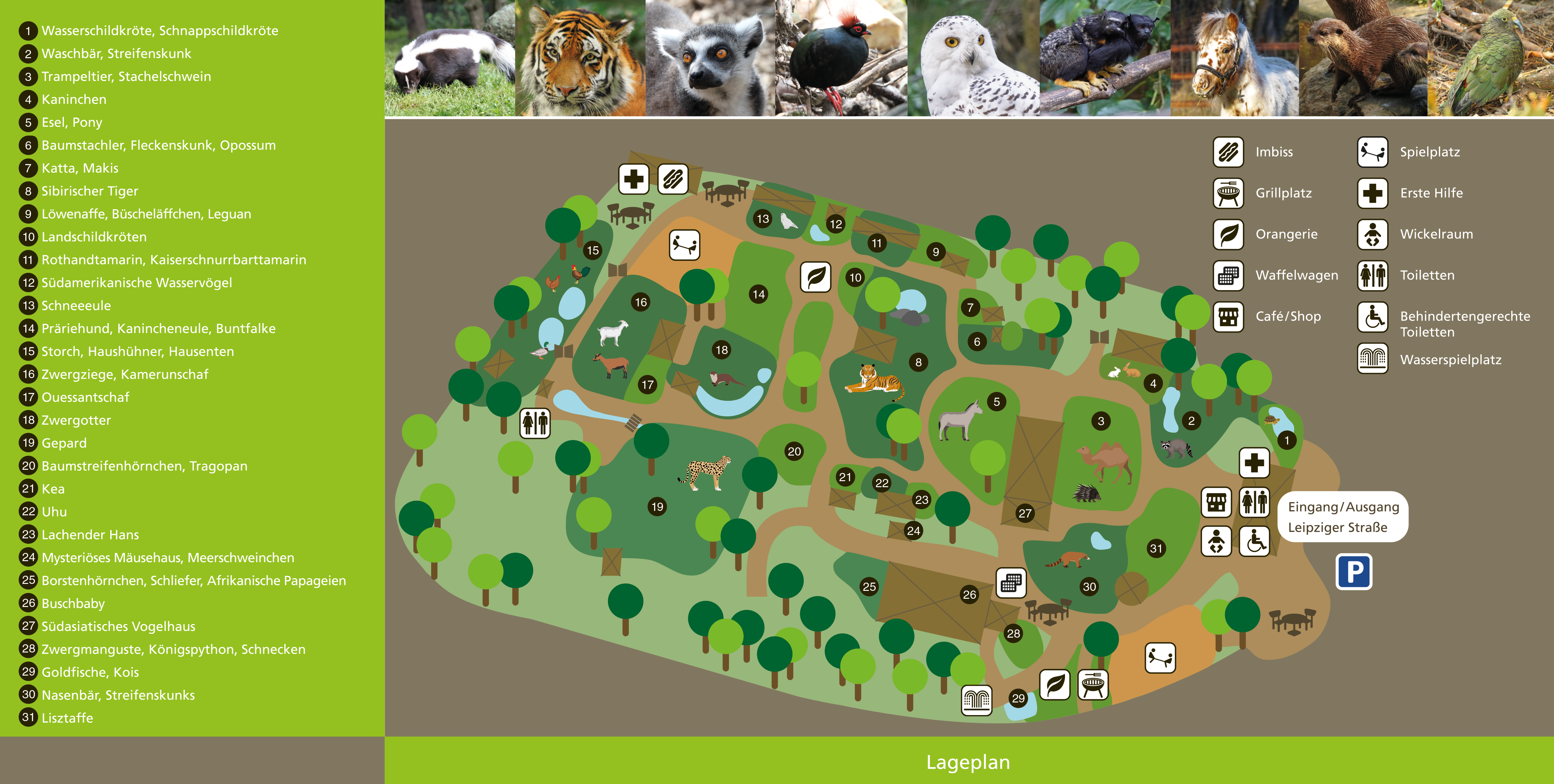 ZOO BRAUNSCHWEIG – Bild 6