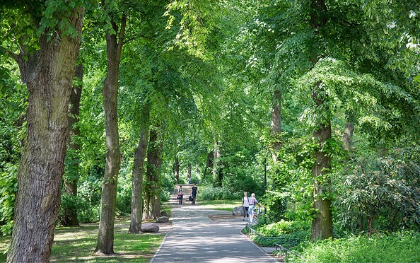 Stadtpark Bernau – Bild 2