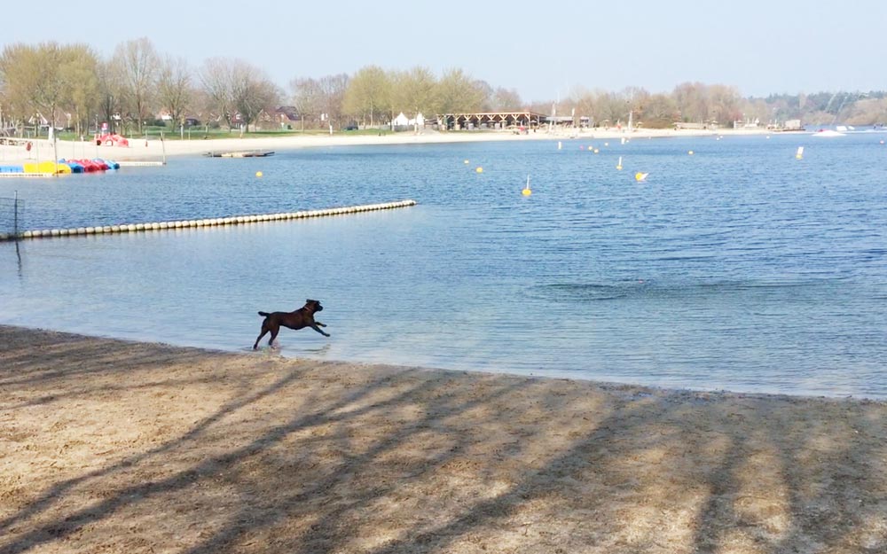 Angelpunkt/ Hunde Badestrand – Bild 1