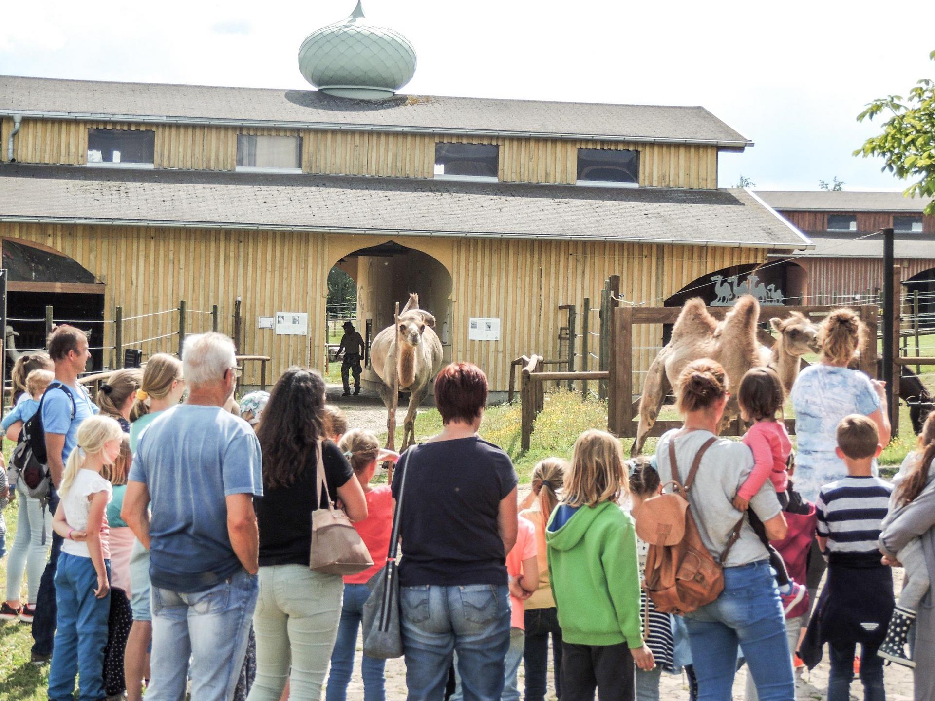 Freizeitpark Rotfelden – Bild 3