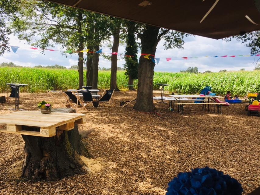 Maislabyrinth Ostbevern – Bild 3