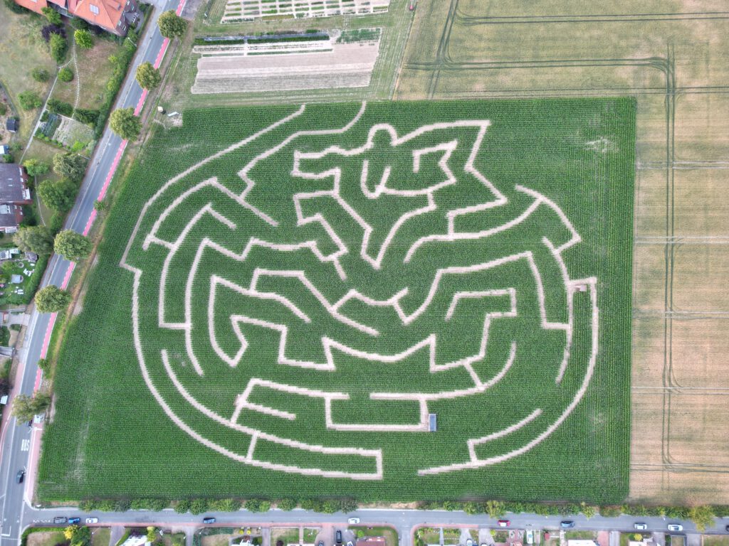 Maislabyrinth Ostbevern – Bild 5