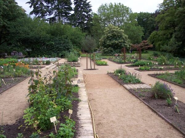 Städt. Schul & Bürgergarten Braunschweig – Bild 3