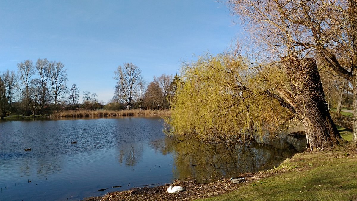 Städt. Schul & Bürgergarten Braunschweig – Bild 6