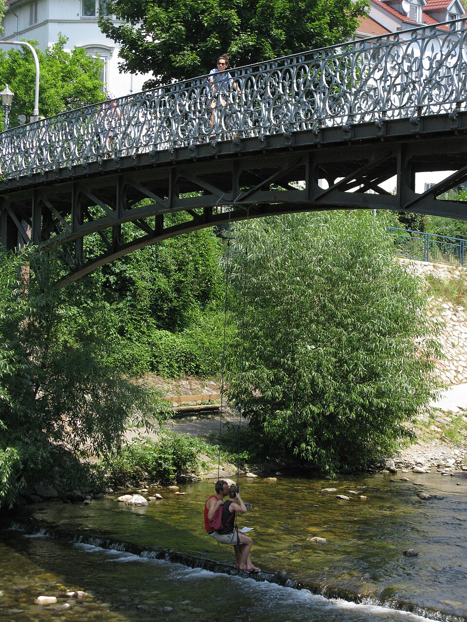 Dreisam-Schaukel – Bild 1