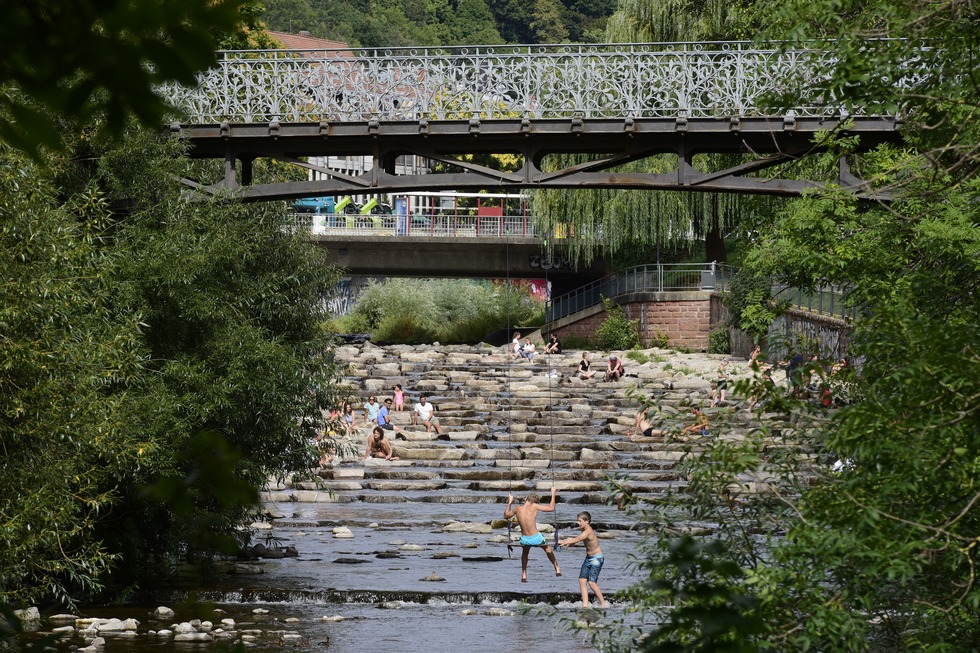 Dreisam-Schaukel – Bild 3