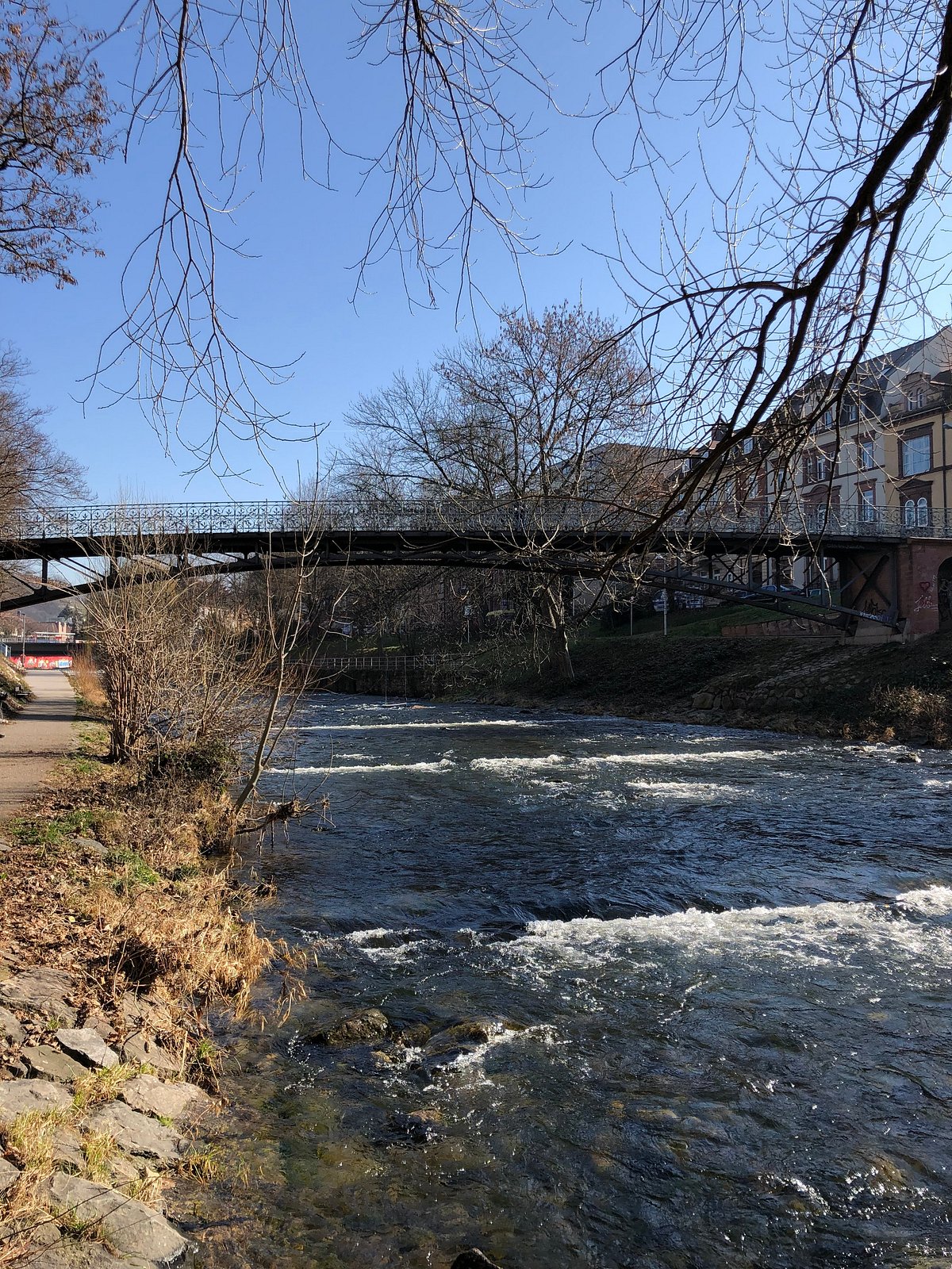 Dreisam-Schaukel – Bild 4