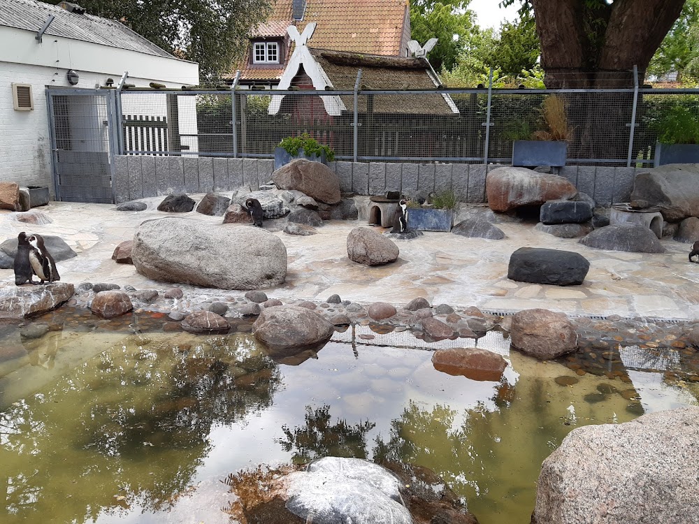 Kurpark Cuxhaven – Bild 3