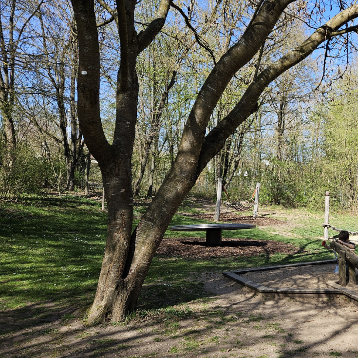 Spielplatz am Ortsrand – Bild 5