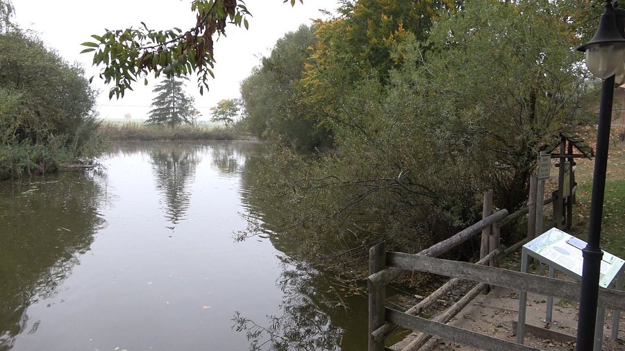 Erlebnisbauernhof und Wildgehege – Bild 3