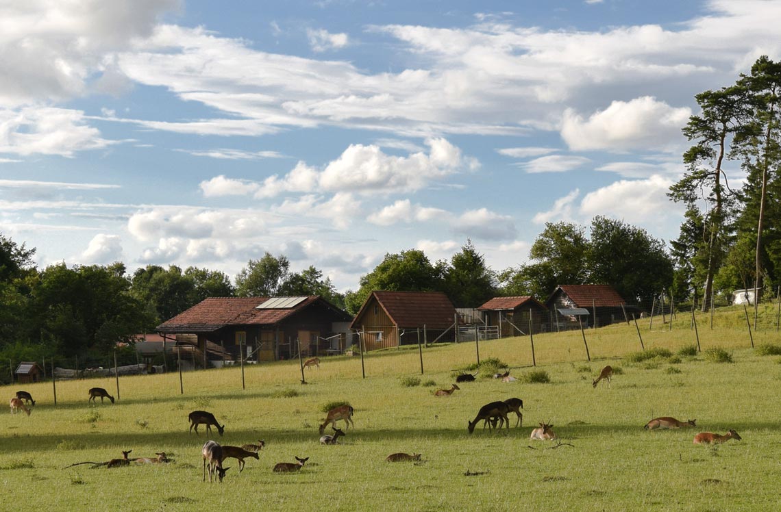 Erlebnisbauernhof und Wildgehege – Bild 4