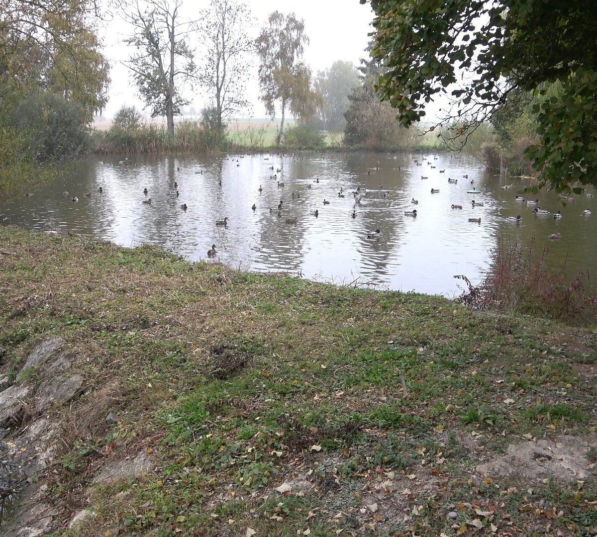 Erlebnisbauernhof und Wildgehege – Bild 5