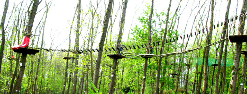 tree2tree Dortmund – Bild 2