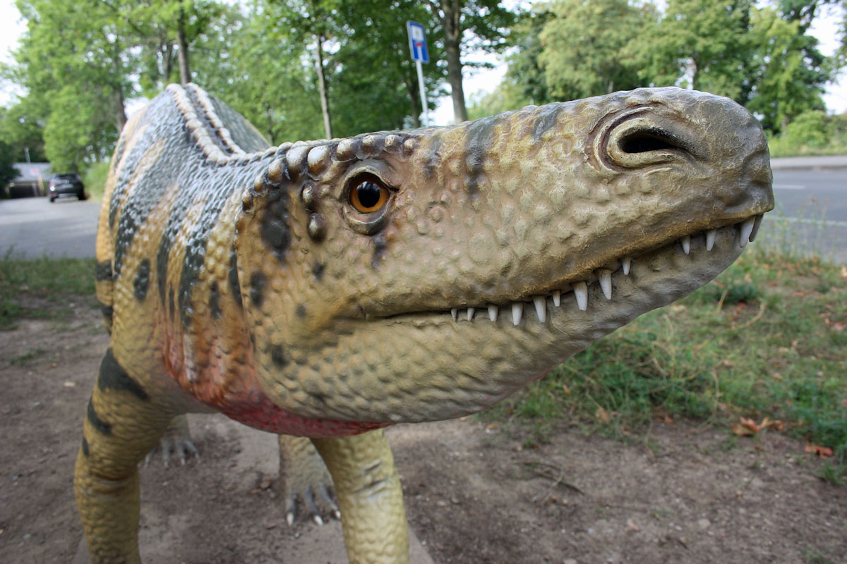 Saurierpfad Jena – Bild 4