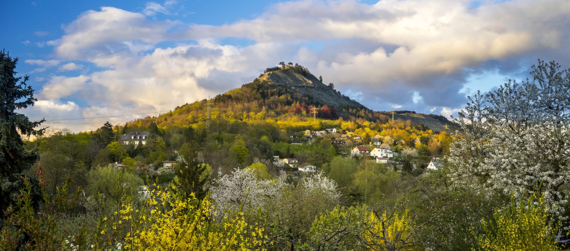 Saurierpfad Jena – Bild 5