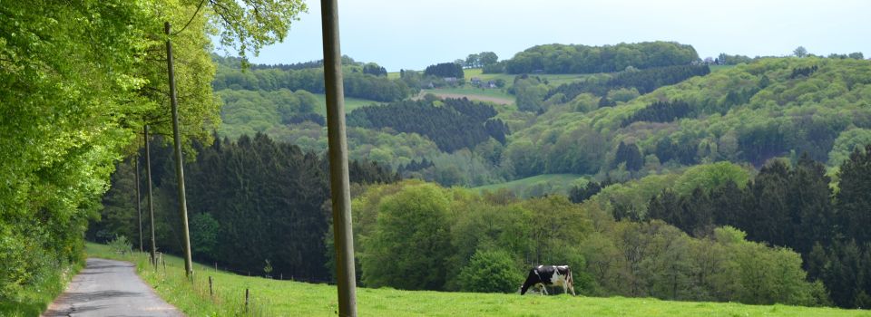 Biobauernhof Scheurenhöfchen – Bild 2