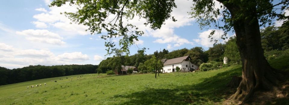 Biobauernhof Scheurenhöfchen – Bild 3