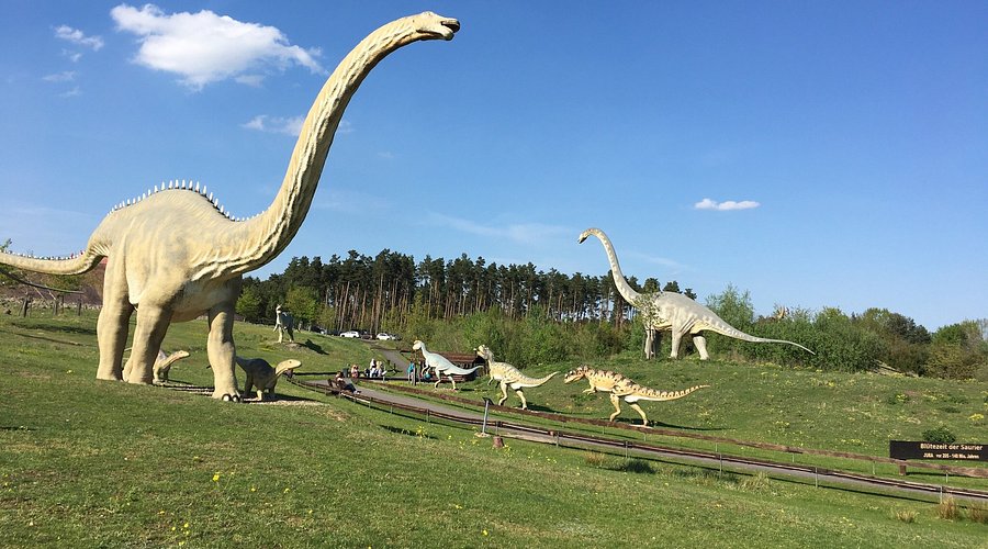 Seilrutsche im Tier-, Freizeit- und Saurierpark Germendorf – Bild 1
