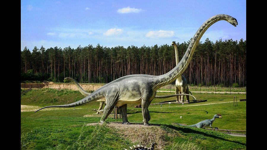 Seilrutsche im Tier-, Freizeit- und Saurierpark Germendorf – Bild 5