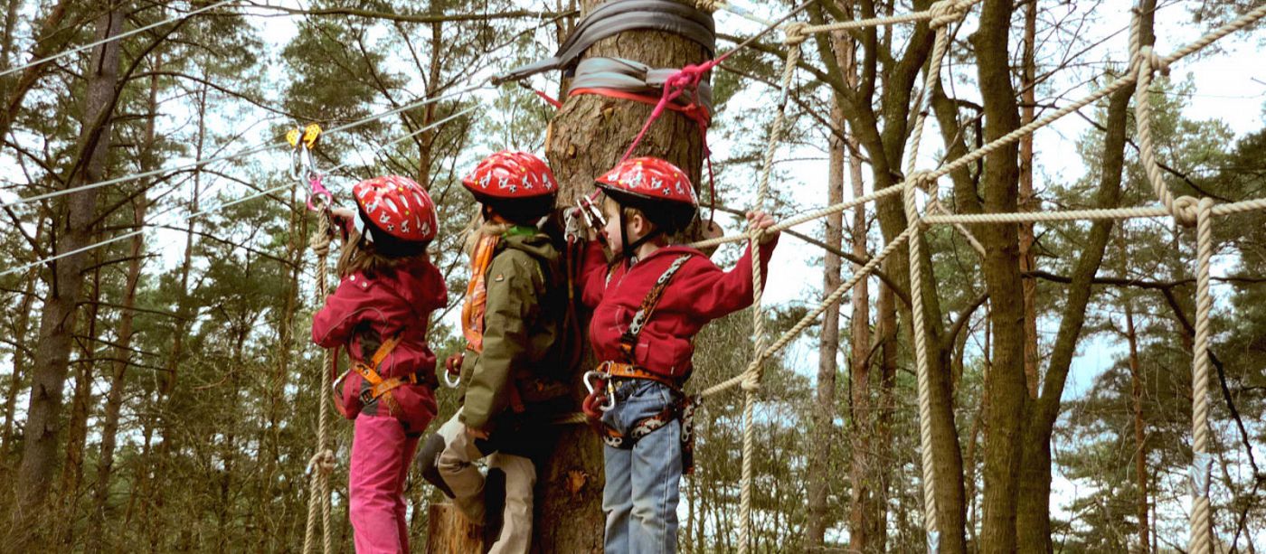 Waldseilgarten Havelberge - Haveltourist – Bild 5