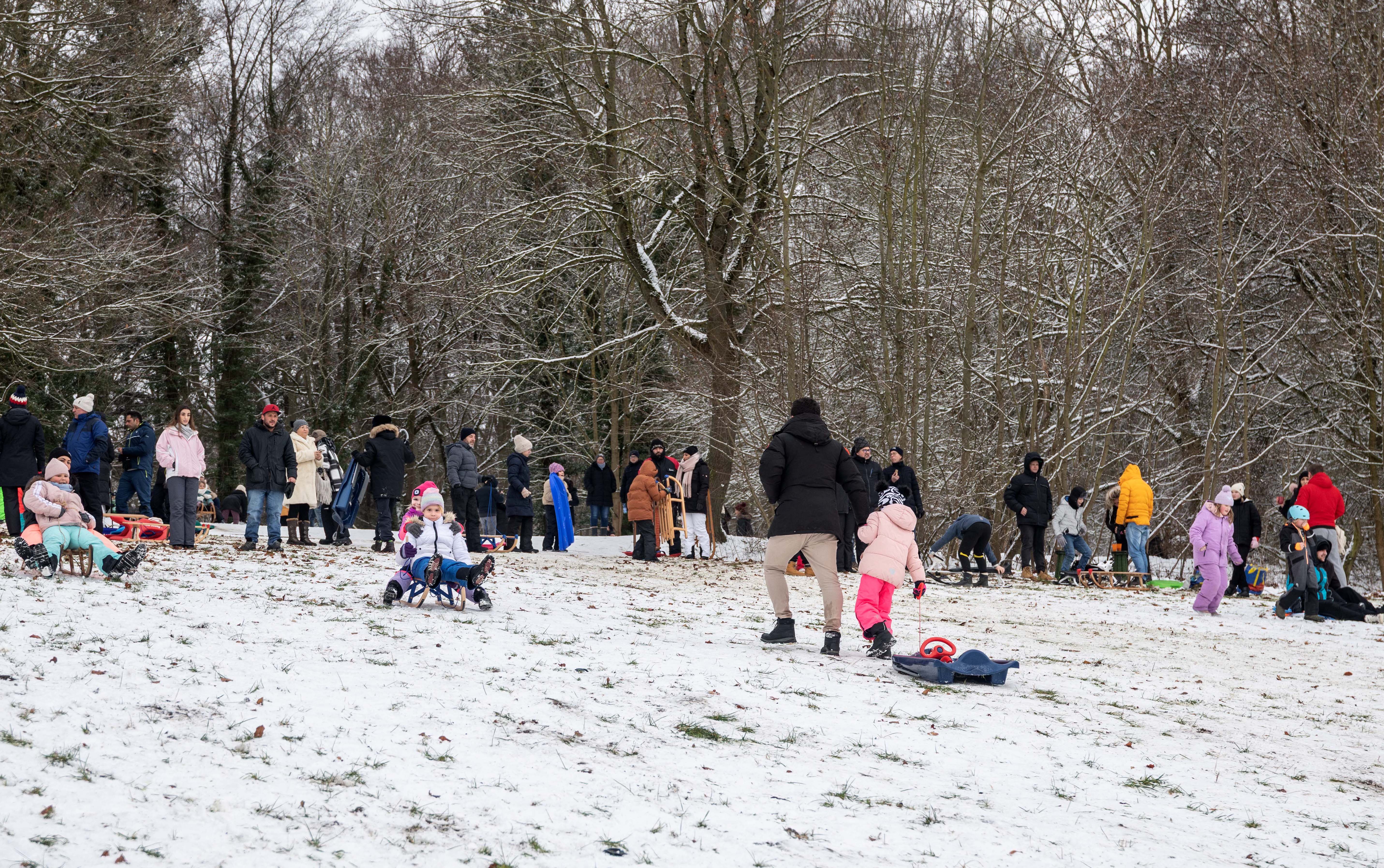 Rodelberg in Salzgitter Krähenriede – Bild 6