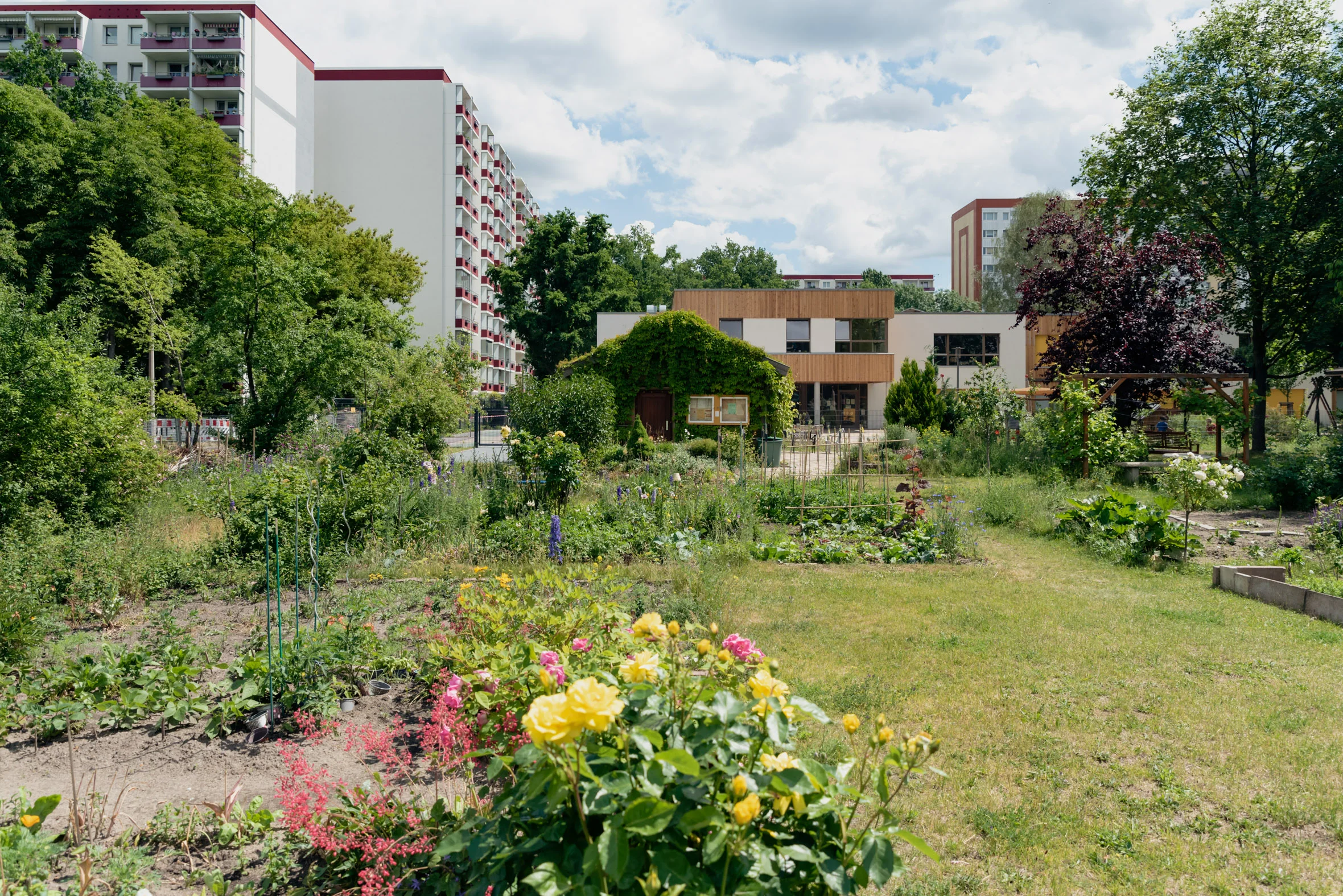 Interkultureller Garten – Bild 4